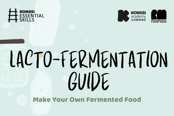 Lacto Fermentation